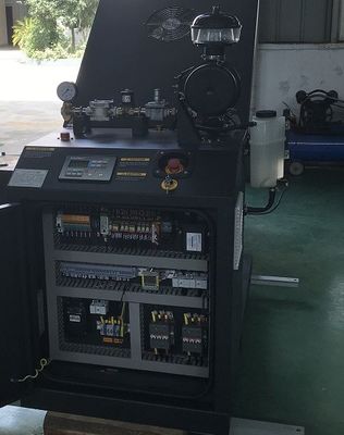 قیمت خوب موتور خنک شونده با آب LPG CHP مولد برق حرارتی 12 کیلووات 15 کیلووات ریز LPG تولید همزمان برق و حرارت آنلاین