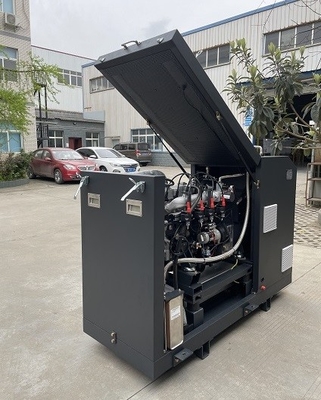 قیمت خوب High Efficiency CE Approved Micro Biogas CHP Mini Cogenerator Set Unit System 16kw 20kva آنلاین