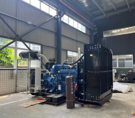 قیمت خوب 50hz 60hz Soundproof Container Open Type Continuous 200KW 250KVA LPG Powered  Electric Generator آنلاین