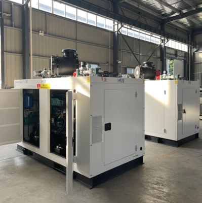 قیمت خوب 200KW 250KVA 50Hz گاز طبیعی کوژن کارایی بالا با کنترل خودکار آنلاین