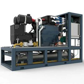 قیمت خوب 3 Phase Biogas Combined Heat And Power Systems 220KW 400V / 230V High Reliability آنلاین