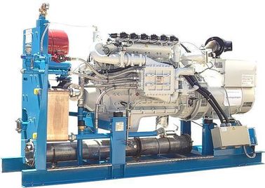 قیمت خوب 60Hz 127V 3 Phase Biogas Generator Set , Biomass Gas Generator Silent / Open Design آنلاین