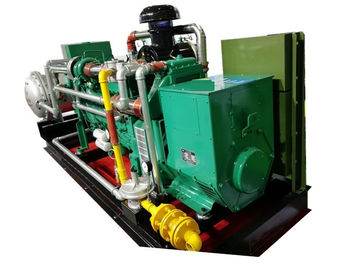 قیمت خوب 300KVA 250KW 60Hz Biogas CHP , Remote Monitoring CHP Cogeneration Systems آنلاین
