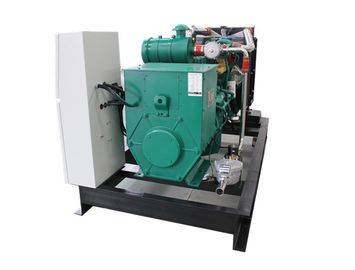 قیمت خوب Weatherproof 50HZ 230V Biogas CHP , Biogas Fuel CHP Heat And Power BHKW 25KW 30KVA آنلاین